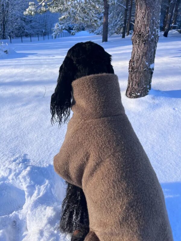 Handmade cappuccino color woolen coat for dog. Warm clothes for large dogs. - Image 2